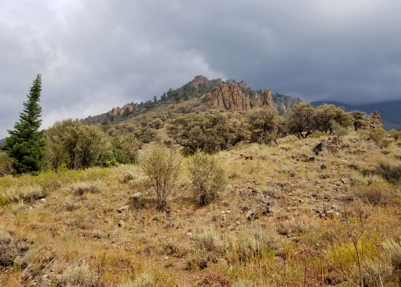 Jarbidge gold exploration